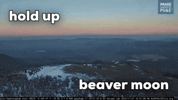 Hold Up, Beaver Moon