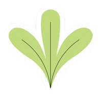 Festival Plants Sticker by Silvia Reginato