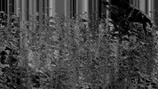 Glitch Dark GIF by Fáinleog