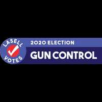 LasellVotes vote election voted voters GIF