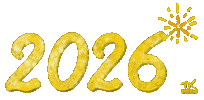 Happy New Year Fireworks Sticker by Dani K.