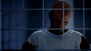 fox stare GIF by Wayward Pines