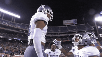 NevadaWolfPack football nevada wolf pack unr GIF