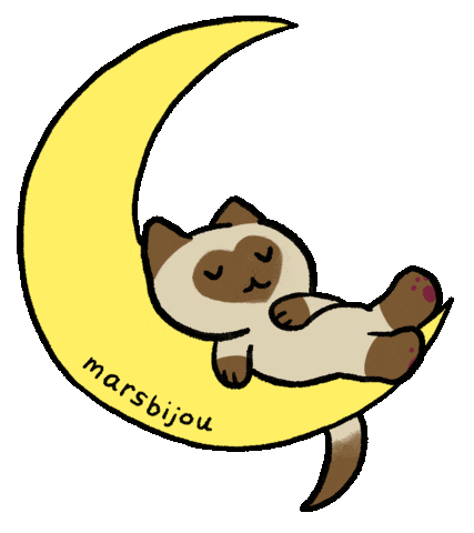 Siamese Cat Sticker