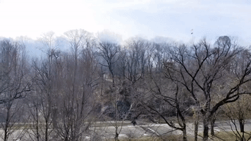 Smoke Rises From Fires in New York's Central Park