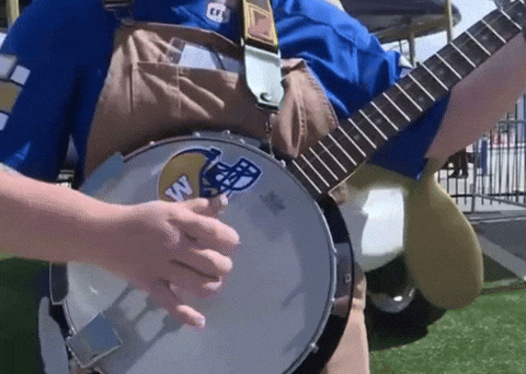 Blue Bombers Bowl GIF