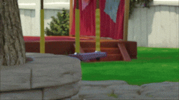 Baby With Raspberry Meme Muppet Meme Clips - Find & Share on GIPHY