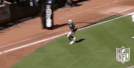 football GIF by NFL