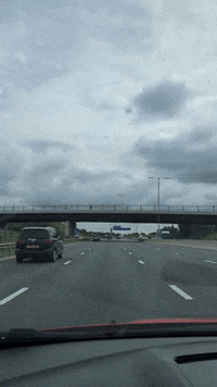 GIF by Stella 52