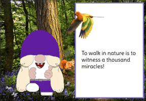 Gnome Enjoying Nature GIF