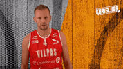 Sport Basketball GIF by Basket_fi