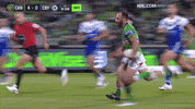Try Nrl GIF by Canberra Raiders