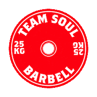 Miami Weightlifting Sticker by crossfitsoulmiami