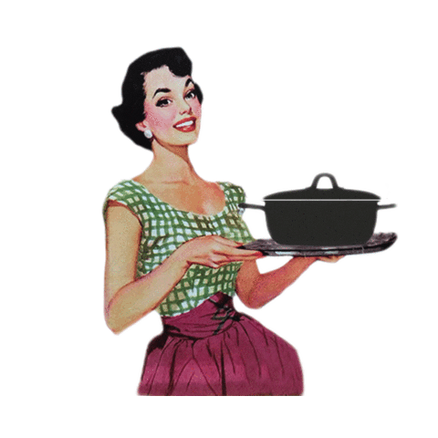 lebrindezinc giphyupload Orleans cocotte brindezinc Sticker