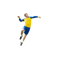 TV-Oberwinterthur fistball tvoberi Sticker