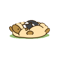 neko atsume STICKER by imoji