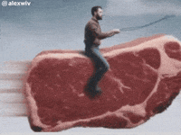 Horse Son GIF