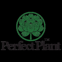 perfectplanthempco hemp hemp company perfectplant perfect plant GIF