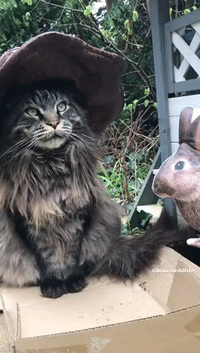 Striking Cat Sits Perfectly Still Next to Easter Bunny