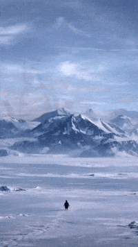 Penguin Emo GIF