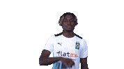 Bmg Fohlen Sticker by Borussia Mönchengladbach