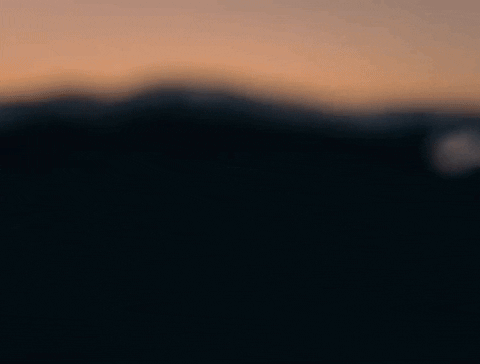Sunset Surfer GIF by Coral Garvey