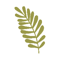 Leaf Feuille Sticker by minilabo