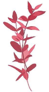 Flower Sticker by elan_cafe