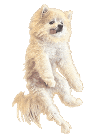 Dog Dancing Sticker by Munjo Munjo