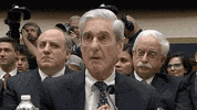 Robert Mueller GIF by GIPHY News