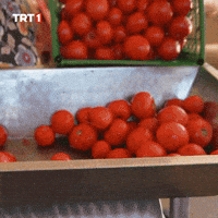 Eat Citrus Fruit GIF by TRT