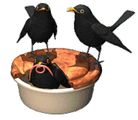bird STICKER