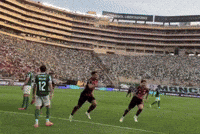 Danilo GIF