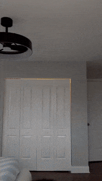Chicago Assyrian GIF by Salem's Vision