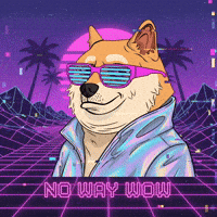 Awesome Shiba Inu GIF by Doge Pound