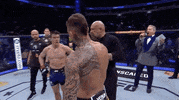 Renato Moicano Sport GIF by UFC