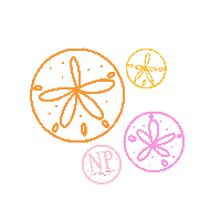NavarrePress navarre navarre press navarre beach sanddollars Sticker