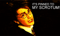 harry GIF