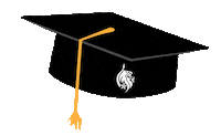 Graduation Dmuleicester Sticker by De Montfort University