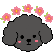 Poodle 花 Sticker