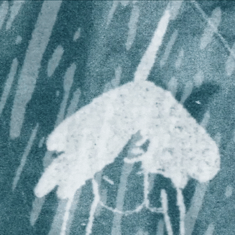 Dance Raining GIF by kiin.