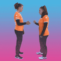 Team Handball GIF by RK Krim