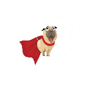 Dogs Superman Sticker by Pet Pipers
