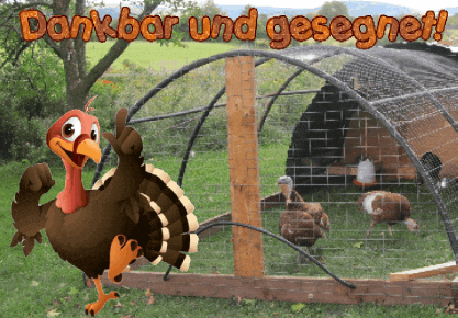 English Thanksgiving GIF