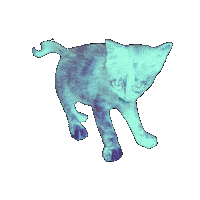 Cat Wave Sticker