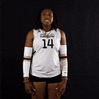 Volleyball Yell GIF by Purdue Fort Wayne Athletics