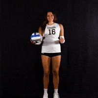Ball Volleyball GIF by Purdue Fort Wayne Athletics