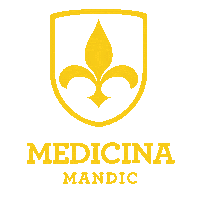SLMandic são leopoldo mandic mandic slamandic Sticker