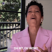 Oh My Wow GIF by PBS SoCal
