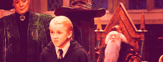 gryffindor GIF